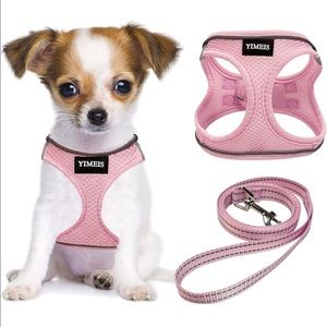 Small dog harness and leash